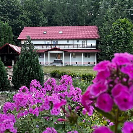 Vacation Villa Sucevita Eksteriør billede