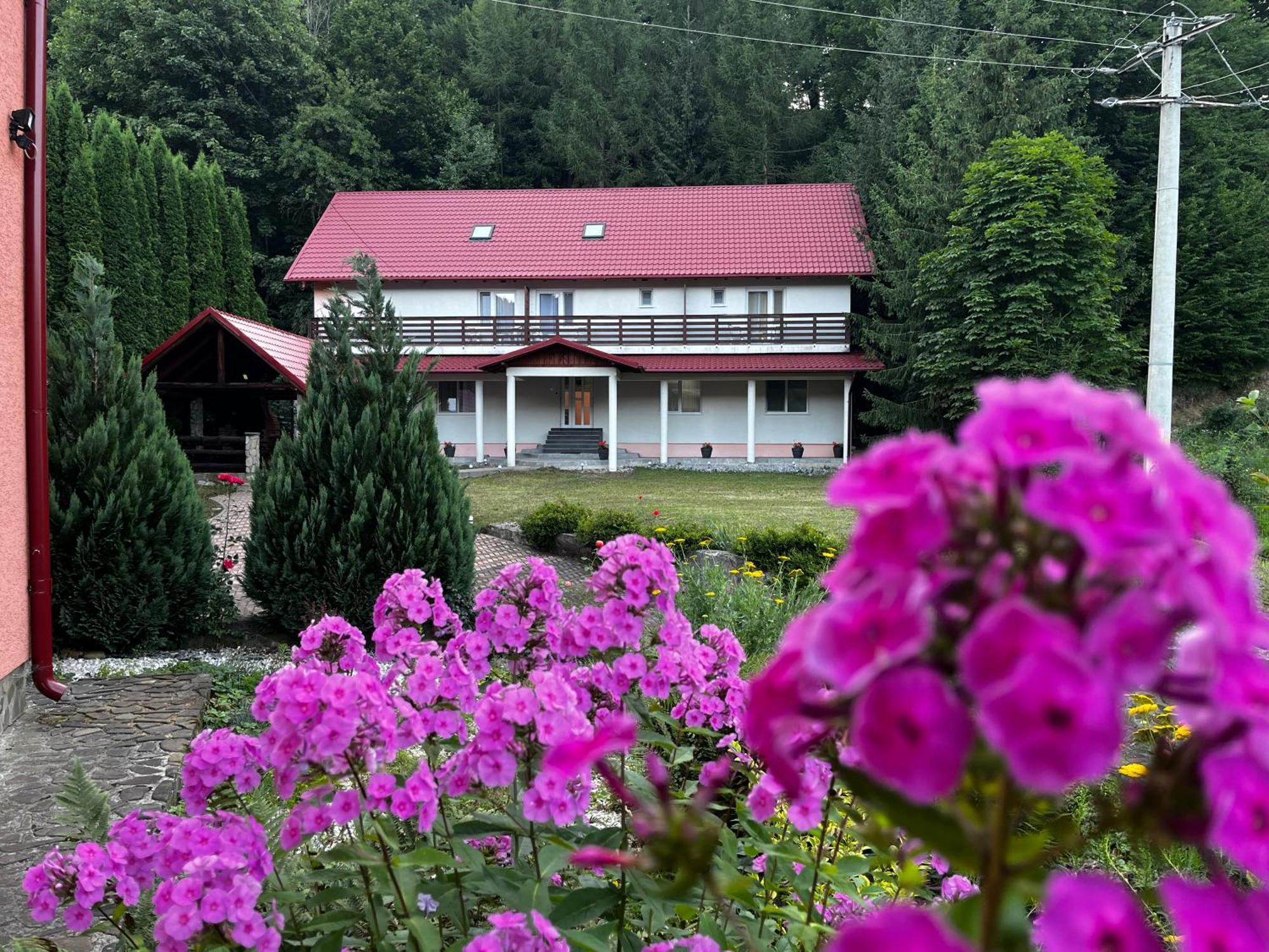 Vacation Villa Sucevita Eksteriør billede